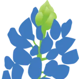 Bluebonnet Trails Community Services logo