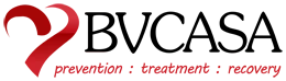 Brazos Valley Council on Alc and Sa logo