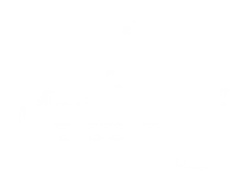 Momentum for Health logo