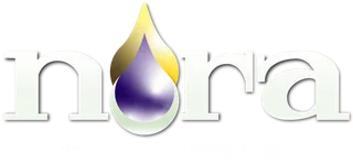 Northern Ohio Recovery Association logo