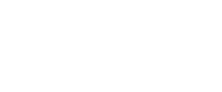 Safe Future LLC logo