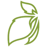 Heights Treatment logo