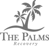Palms Recovery Florida LLC logo
